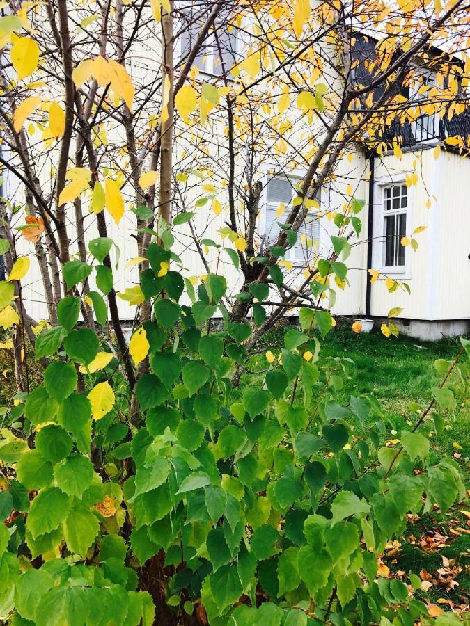 Parkgatan Villa Krylbo Eksteriør billede